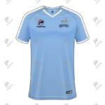 Positive Custom Design Printed V-Neck Uruguay Soccer Jersey