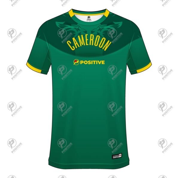 Positive Custom Printed Cameroon Team Soccer Jersey