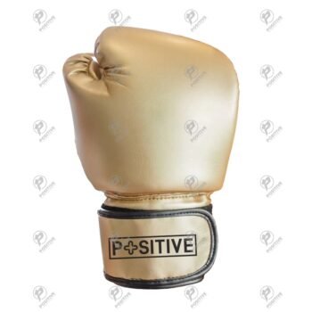 Positive Golden Professional Leather Boxing Gloves