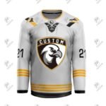 Positive Customized Design Printed Mesh Ice Hockey Jersey